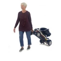 buzz carryon3